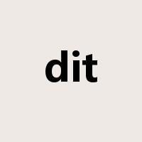 dit是什么意思