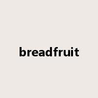 breadfruit是什么意思