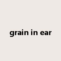 grain in ear是什么意思