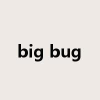 big bug是什么意思