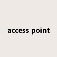 access point是什么意思