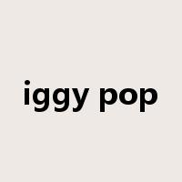 iggy pop是什么意思