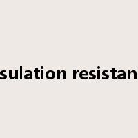 insulation resistance是什么意思