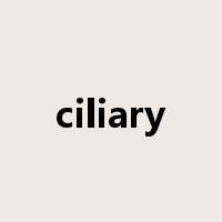 ciliary是什么意思