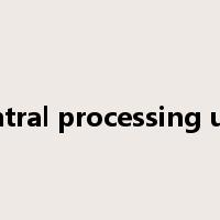 central processing unit是什么意思
