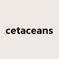 cetaceans是什么意思
