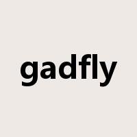 gadfly是什么意思