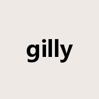 gilly是什么意思