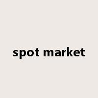 spot market是什么意思