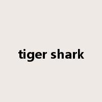 tiger shark是什么意思