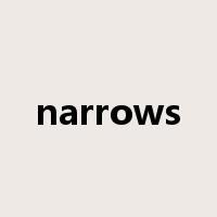 narrows是什么意思