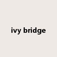 ivy bridge是什么意思