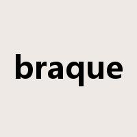 braque是什么意思