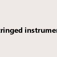 stringed instrument是什么意思