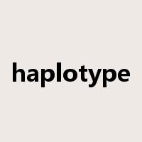 haplotype是什么意思