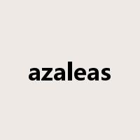 azaleas是什么意思