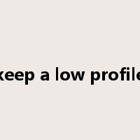 keep a low profile是什么意思