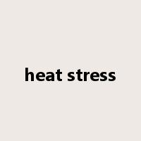 heat stress是什么意思
