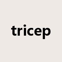 tricep是什么意思