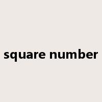 square number是什么意思