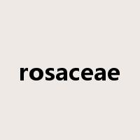 rosaceae是什么意思