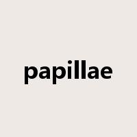 papillae是什么意思