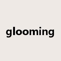 glooming是什么意思