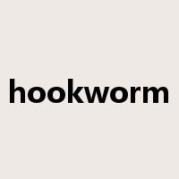 hookworm是什么意思