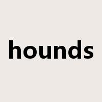 hounds是什么意思