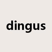 dingus是什么意思