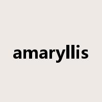 amaryllis是什么意思