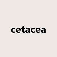 cetacea是什么意思