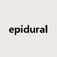 epidural是什么意思