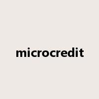 microcredit是什么意思