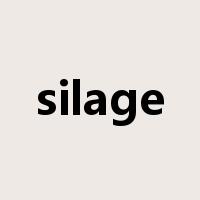 silage是什么意思