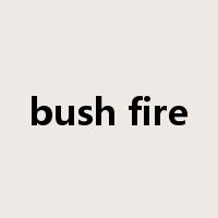 bush fire是什么意思