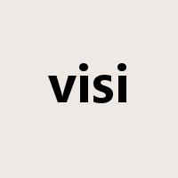 visi是什么意思