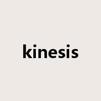 kinesis是什么意思