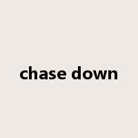 chase down是什么意思