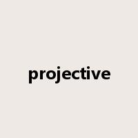 projective是什么意思