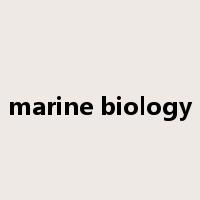 marine biology是什么意思