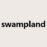 swampland是什么意思