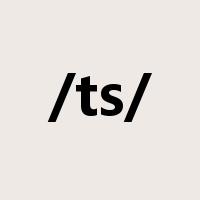 /ts/是什么意思