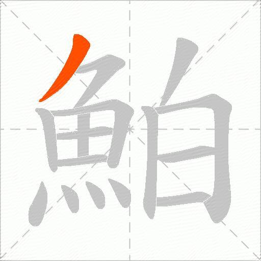 鮊