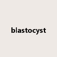 blastocyst是什么意思
