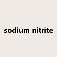 sodium nitrite是什么意思