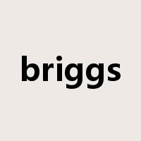 briggs是什么意思
