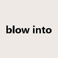 blow into是什么意思