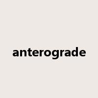 anterograde是什么意思
