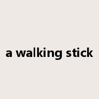 a walking stick是什么意思